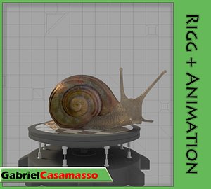 x snail helix aspersa