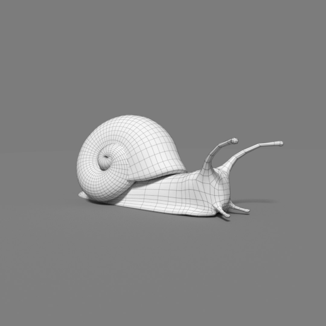 x snail helix aspersa https://p.turbosquid.com/ts-thumb/gR/2KXo7g/hW4T8rtJ/wire1/png/1466760622/1920x1080/fit_q87/f66e74eedbfdd523bf4ef40244b6c63f002ab9ab/wire1.jpg