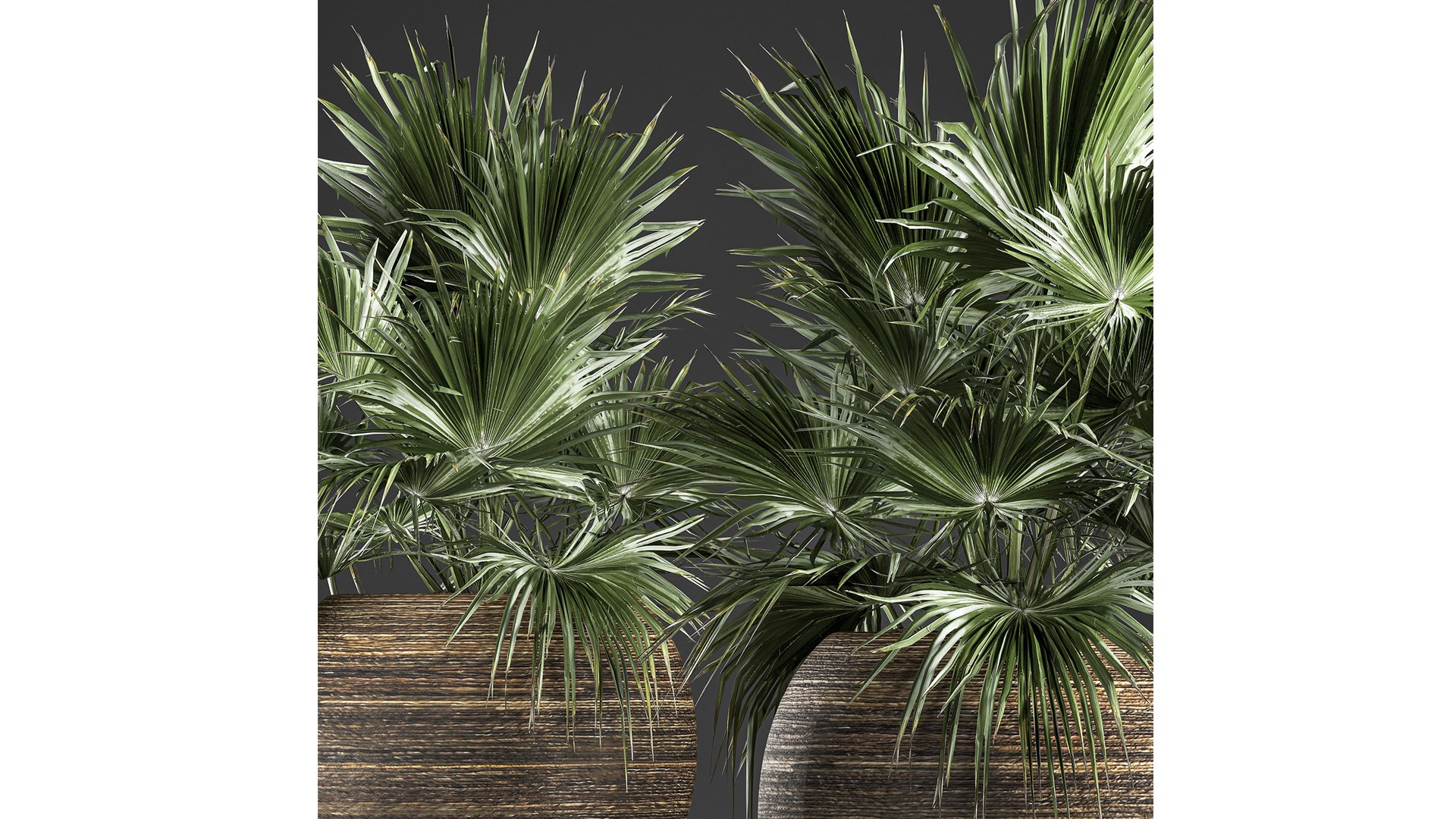 3D model palm basket https://p.turbosquid.com/ts-thumb/gR/2fPCLF/Ft/1palm22901202104/jpg/1612014921/1920x1080/fit_q87/3a94bfe41d170544e964b0e157b628a620db62fe/1palm22901202104.jpg