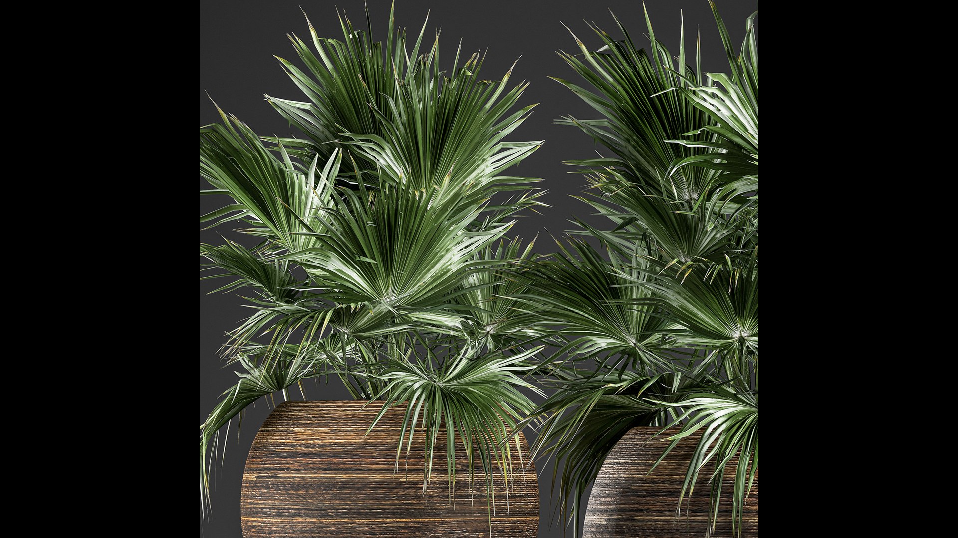3D model palm basket https://p.turbosquid.com/ts-thumb/gR/2fPCLF/Gv/1palm22901202102/jpg/1612014917/1920x1080/fit_q87/a995da56603f9e57fdc4efe22c94fc1420c4f6a1/1palm22901202102.jpg