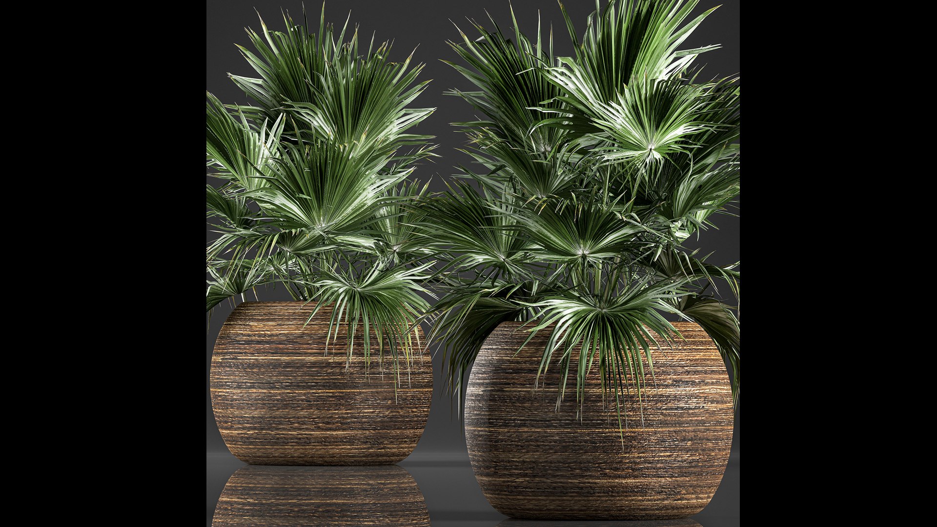 3D model palm basket https://p.turbosquid.com/ts-thumb/gR/2fPCLF/Ju/1palm22901202101/jpg/1612014918/1920x1080/fit_q87/7f28b938f8f888f1c6718eb764d093e50a950ff8/1palm22901202101.jpg