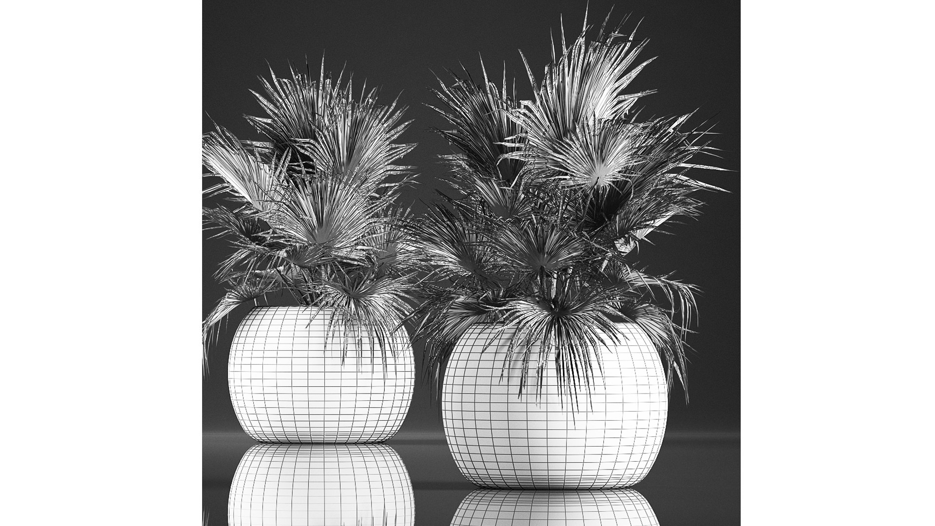 3D model palm basket https://p.turbosquid.com/ts-thumb/gR/2fPCLF/QF/1palm22901202109/jpg/1612014913/1920x1080/fit_q87/b262f7d1a393b1bb298cade3e000f13965b31bf1/1palm22901202109.jpg