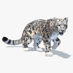3D snow leopard animation model