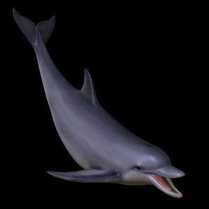 dolphin_3ds