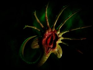 Alien Facehugger - rigged