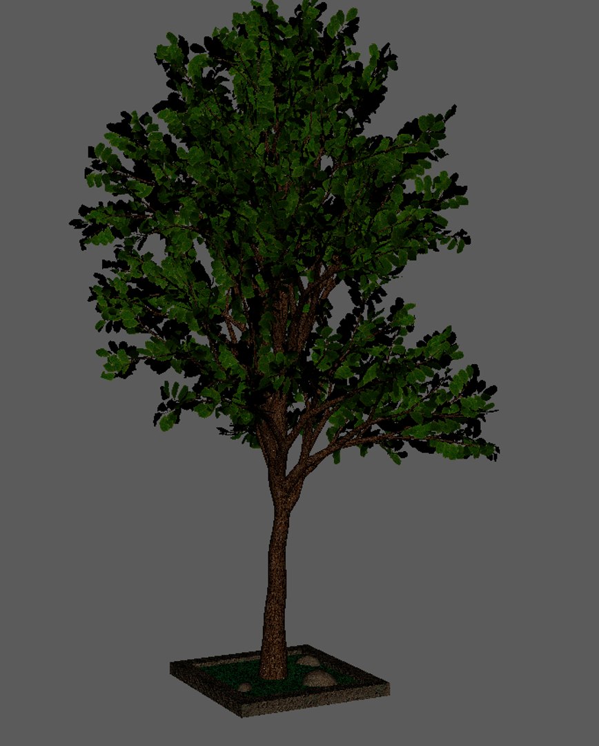 tree 3d model https://p.turbosquid.com/ts-thumb/gR/ve15AC/BRxbYLfS/tree2/jpg/1479228836/1920x1080/fit_q87/ea01a90e10cd84b74fb4af3feff70f04a431e239/tree2.jpg