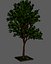 Full Tree