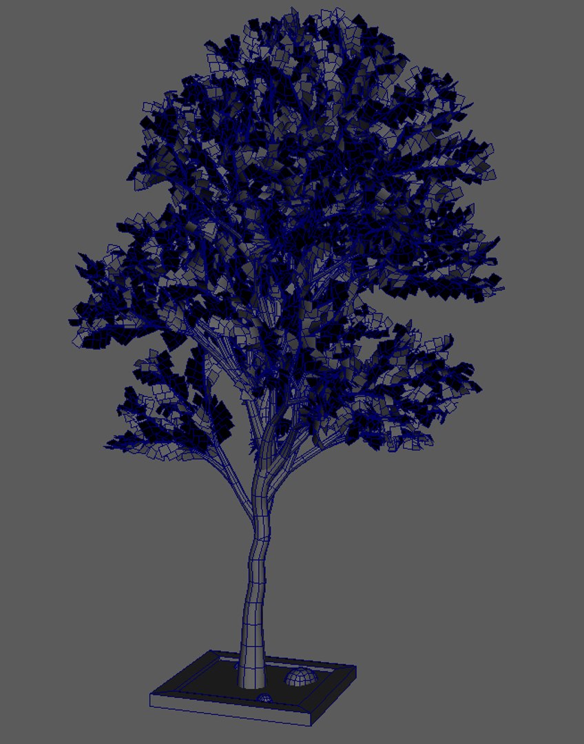 tree 3d model https://p.turbosquid.com/ts-thumb/gR/ve15AC/EDrUyIxz/tree5/jpg/1479228836/1920x1080/fit_q87/2e6198204cd28ab936a373a40af8a6c0a159b781/tree5.jpg