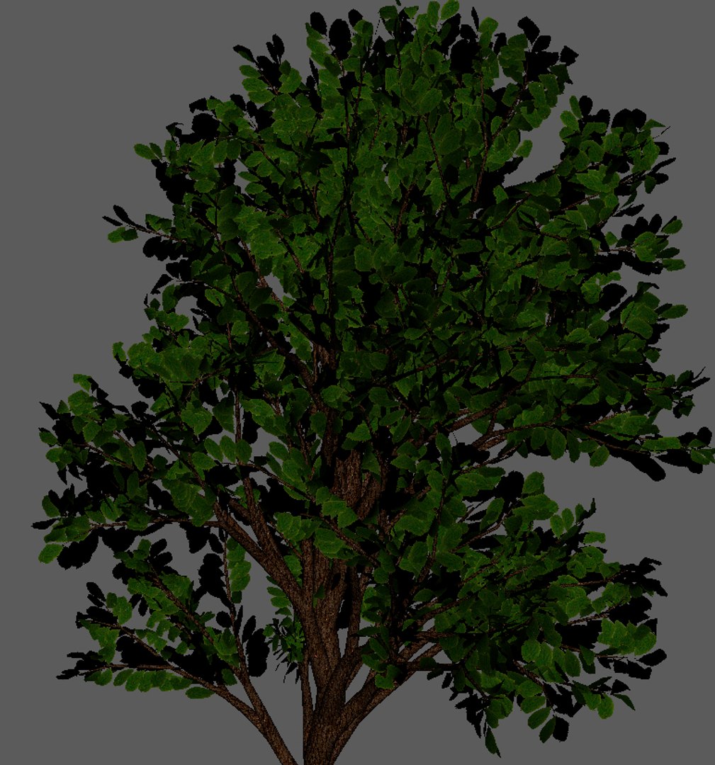 tree 3d model https://p.turbosquid.com/ts-thumb/gR/ve15AC/JZFpMDhz/tree4/jpg/1479228836/1920x1080/fit_q87/7153326bbd30b7f37bdd66684d72f5c41f036585/tree4.jpg
