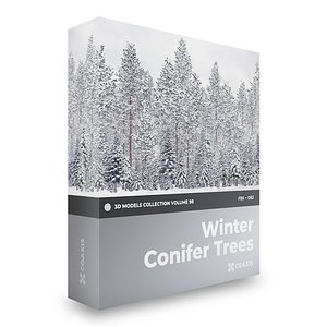 3D winter conifer trees volume model