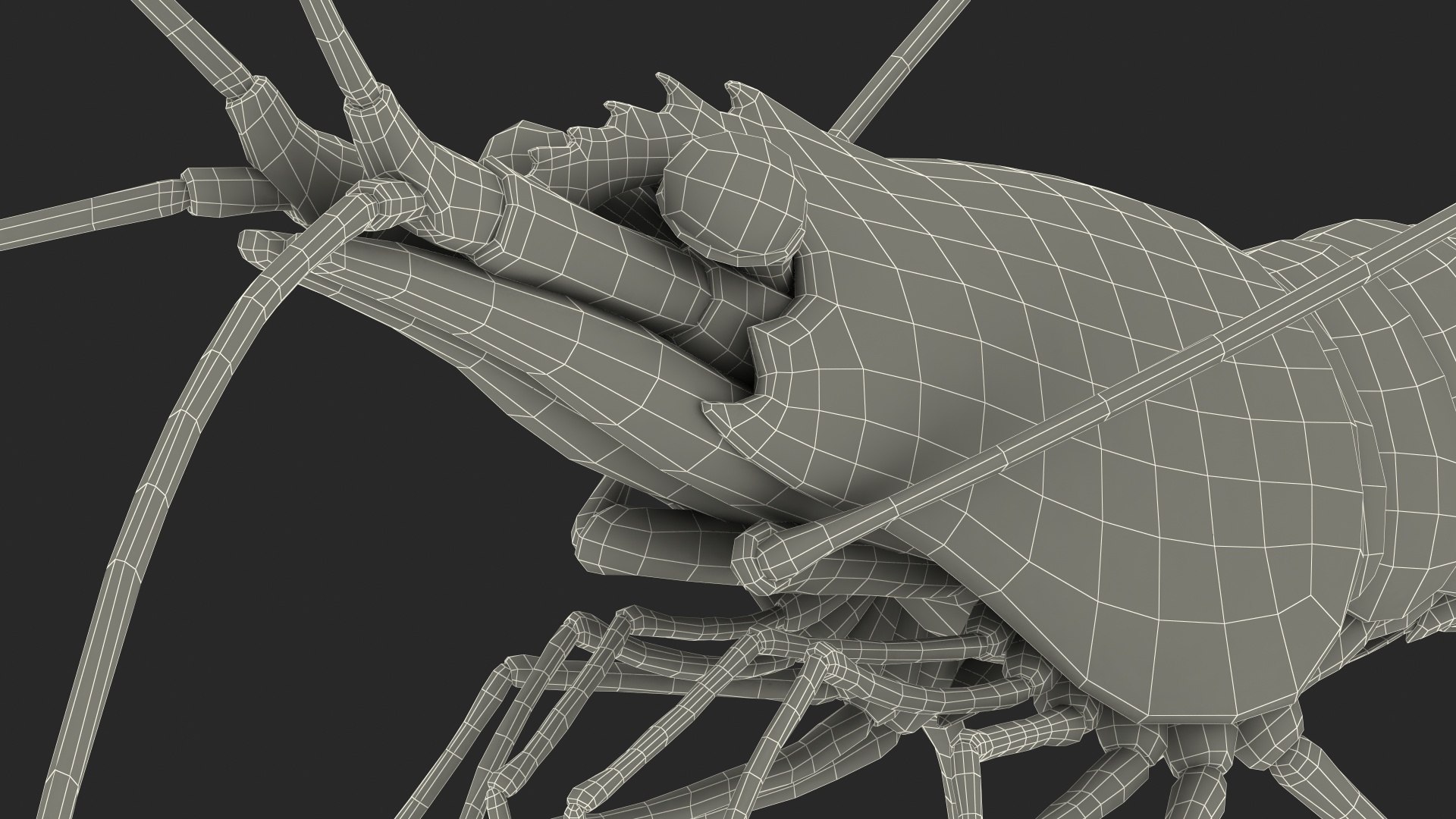 Fire Blood Shrimp Rigged Fur 3D model https://p.turbosquid.com/ts-thumb/gS/8Cauh0/0V/firebloodshrimpriggedfurvray3dmodel026/jpg/1656708722/1920x1080/fit_q87/accdfacca858386cb0b48ed25688cf5b180beedc/firebloodshrimpriggedfurvray3dmodel026.jpg