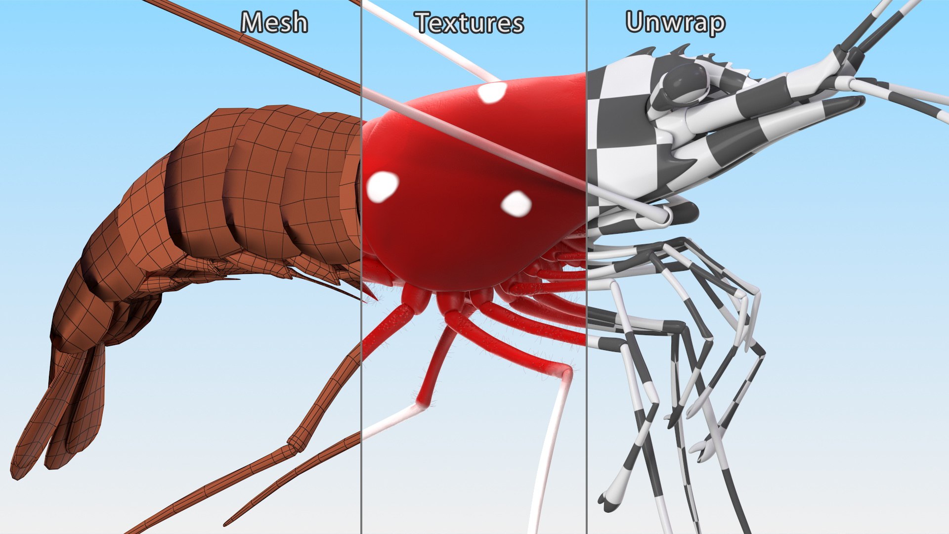 Fire Blood Shrimp Rigged Fur 3D model https://p.turbosquid.com/ts-thumb/gS/8Cauh0/1f/firebloodshrimpriggedfurvray3dmodel018/jpg/1656708698/1920x1080/fit_q87/d9f5777473ccbd8824a6c38018dc1e48bf23a9f9/firebloodshrimpriggedfurvray3dmodel018.jpg