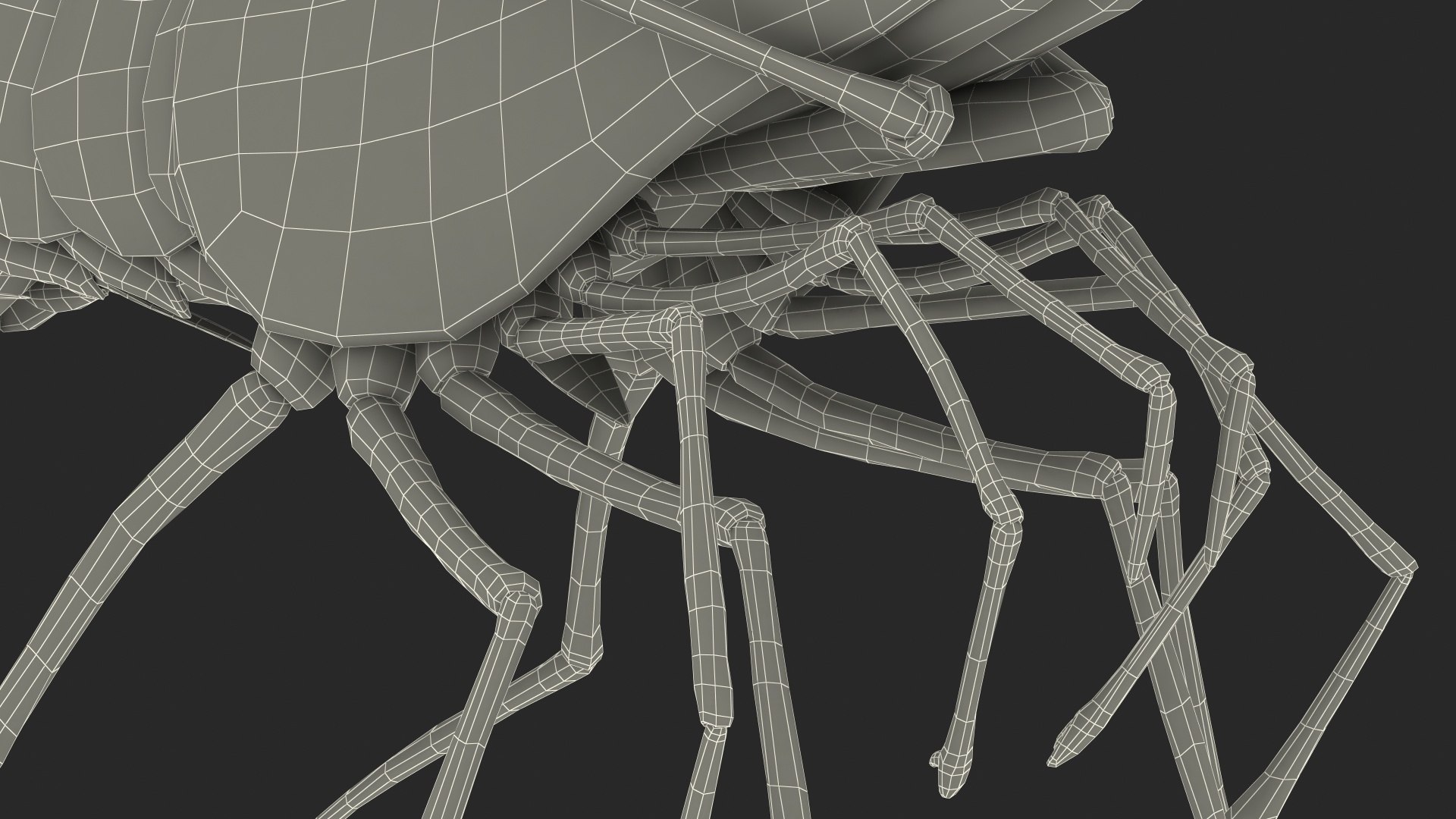 Fire Blood Shrimp Rigged Fur 3D model https://p.turbosquid.com/ts-thumb/gS/8Cauh0/Bu/firebloodshrimpriggedfurvray3dmodel027/jpg/1656708725/1920x1080/fit_q87/c6a2ce3cf5117e27be4f00b6a1c2249f3a4813b8/firebloodshrimpriggedfurvray3dmodel027.jpg