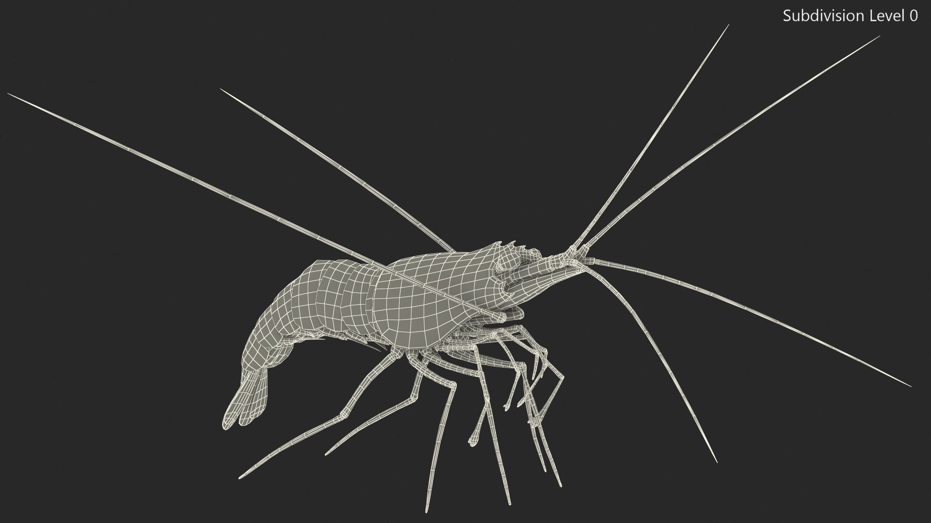 Fire Blood Shrimp Rigged Fur 3D model https://p.turbosquid.com/ts-thumb/gS/8Cauh0/T9/firebloodshrimpriggedfurvray3dmodel019/jpg/1656708701/1920x1080/fit_q87/0f826ca711ab27b24e133387a6e808d38ddf6b6f/firebloodshrimpriggedfurvray3dmodel019.jpg