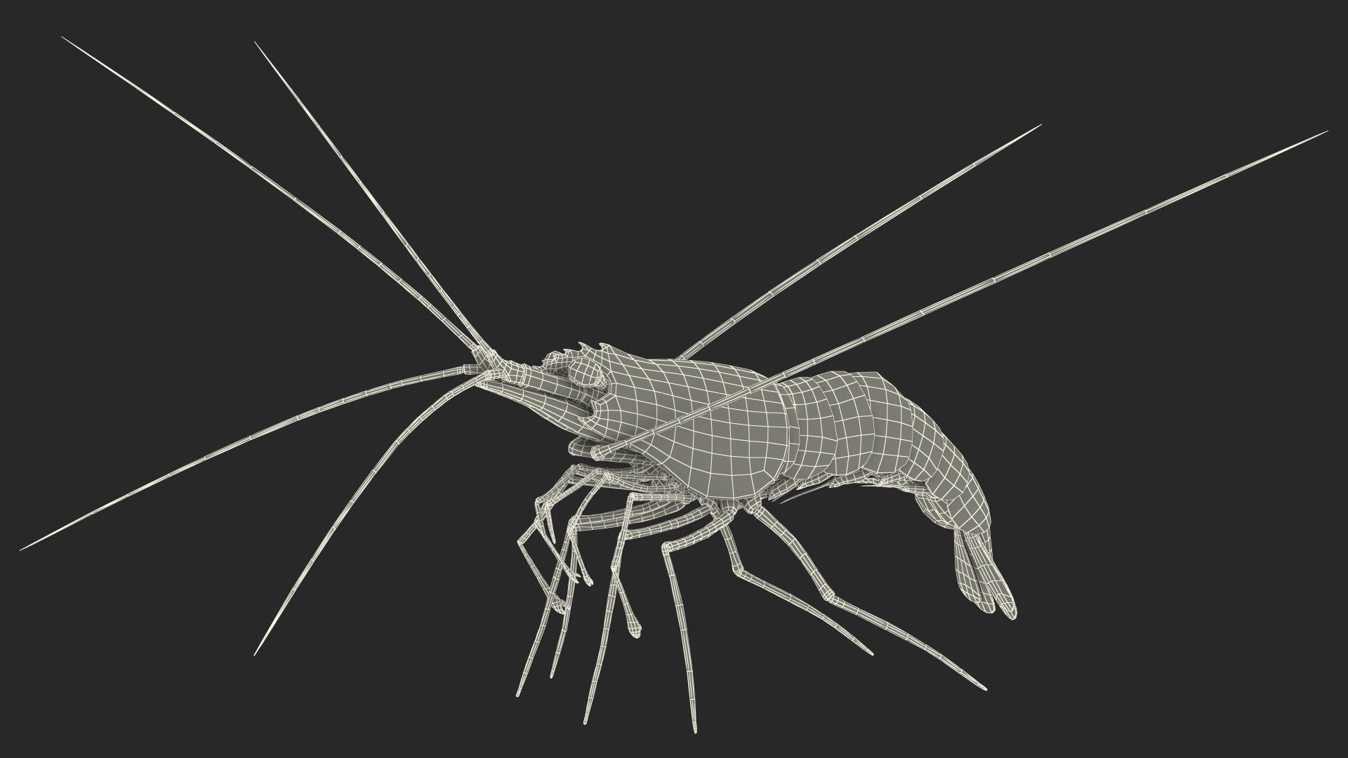 Fire Blood Shrimp Rigged Fur 3D model https://p.turbosquid.com/ts-thumb/gS/8Cauh0/XQ/firebloodshrimpriggedfurvray3dmodel024/jpg/1656708716/1920x1080/fit_q87/34b5cb31212936b55db6002a9ab52297c6b34bdd/firebloodshrimpriggedfurvray3dmodel024.jpg