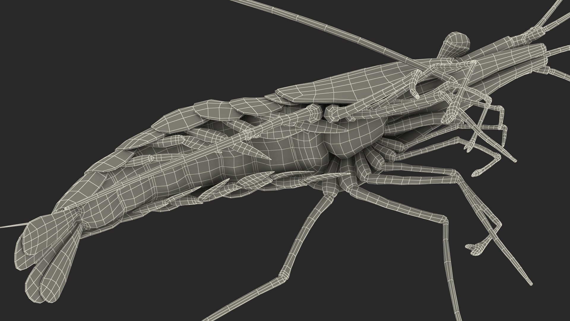 Fire Blood Shrimp Rigged Fur 3D model https://p.turbosquid.com/ts-thumb/gS/8Cauh0/ew/firebloodshrimpriggedfurvray3dmodel028/jpg/1656708728/1920x1080/fit_q87/c54dedeeead0a0bc6cc8ceae8606800e9f37908c/firebloodshrimpriggedfurvray3dmodel028.jpg