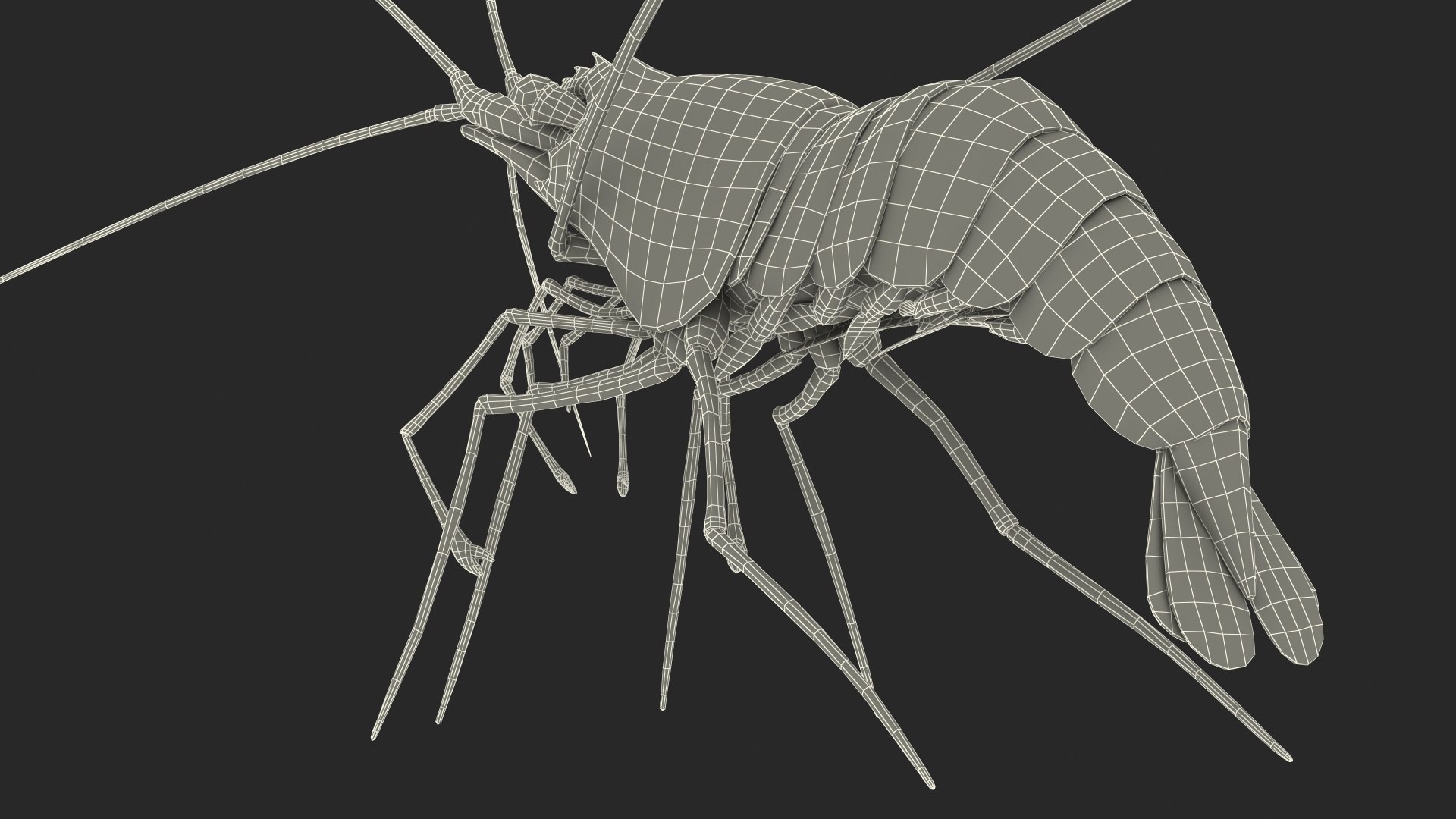 Fire Blood Shrimp Rigged Fur 3D model https://p.turbosquid.com/ts-thumb/gS/8Cauh0/y1/firebloodshrimpriggedfurvray3dmodel025/jpg/1656708719/1920x1080/fit_q87/5cd42c94ac20f1c571f60b97de5f2e55a443ae43/firebloodshrimpriggedfurvray3dmodel025.jpg