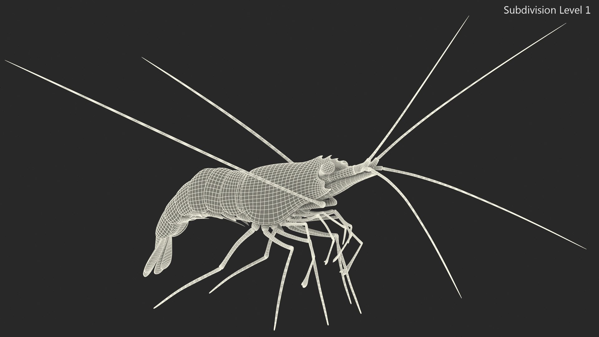 Fire Blood Shrimp Rigged Fur 3D model https://p.turbosquid.com/ts-thumb/gS/8Cauh0/yO/firebloodshrimpriggedfurvray3dmodel020/jpg/1656708704/1920x1080/fit_q87/acabc6ba371b950849ea16be7258987f927c6da2/firebloodshrimpriggedfurvray3dmodel020.jpg