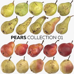 pears 01 - taylors 3D model