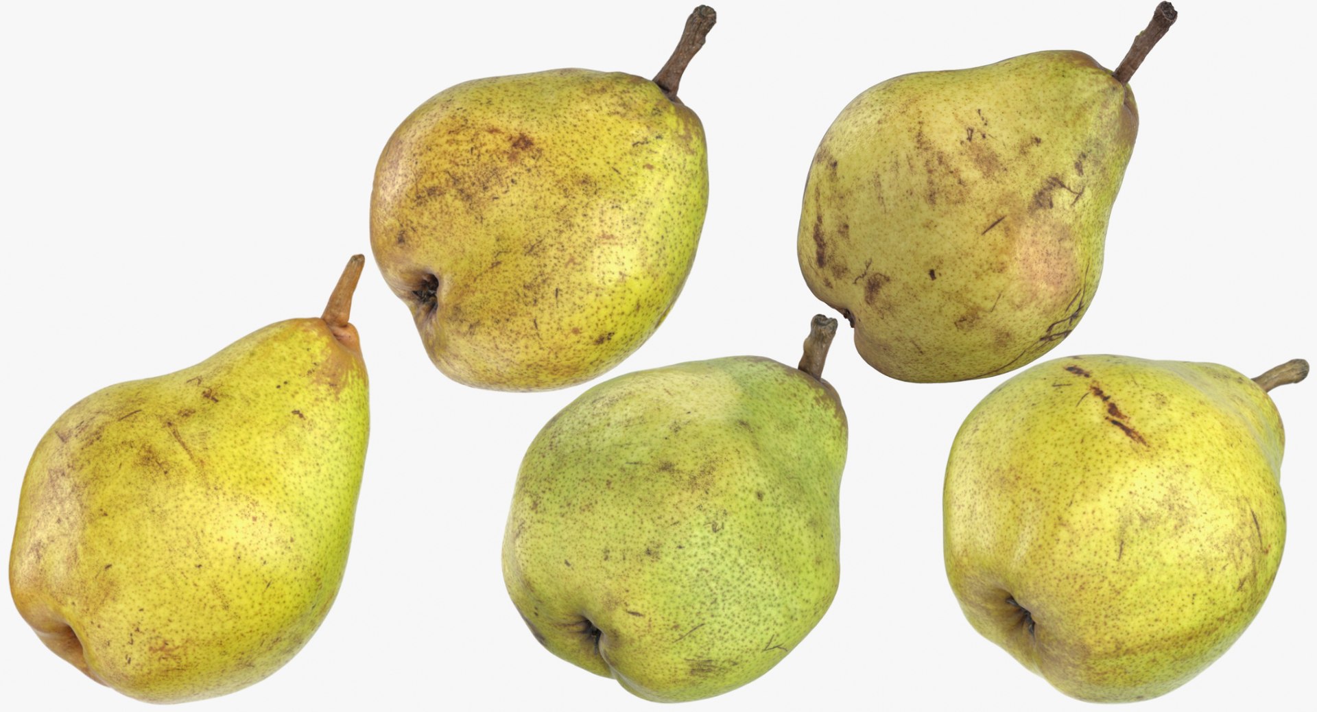 pears 01 - taylors 3D model https://p.turbosquid.com/ts-thumb/gS/G007wr/vwv3Eo4V/pears_collection_01_group_thumbnail_01/jpg/1572963027/1920x1080/fit_q87/4409ff7e3199289db1126286f32d7eb20195c621/pears_collection_01_group_thumbnail_01.jpg