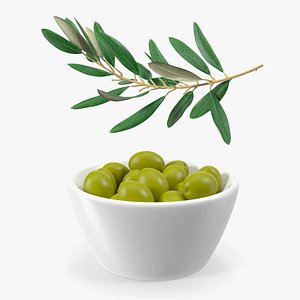 Fresh Green Olives with Olive Tree Branch Collection