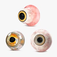 Realistic Animal Eyes Collection 2