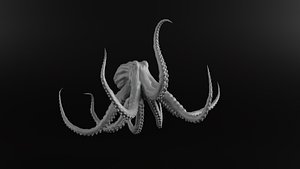Octopus model