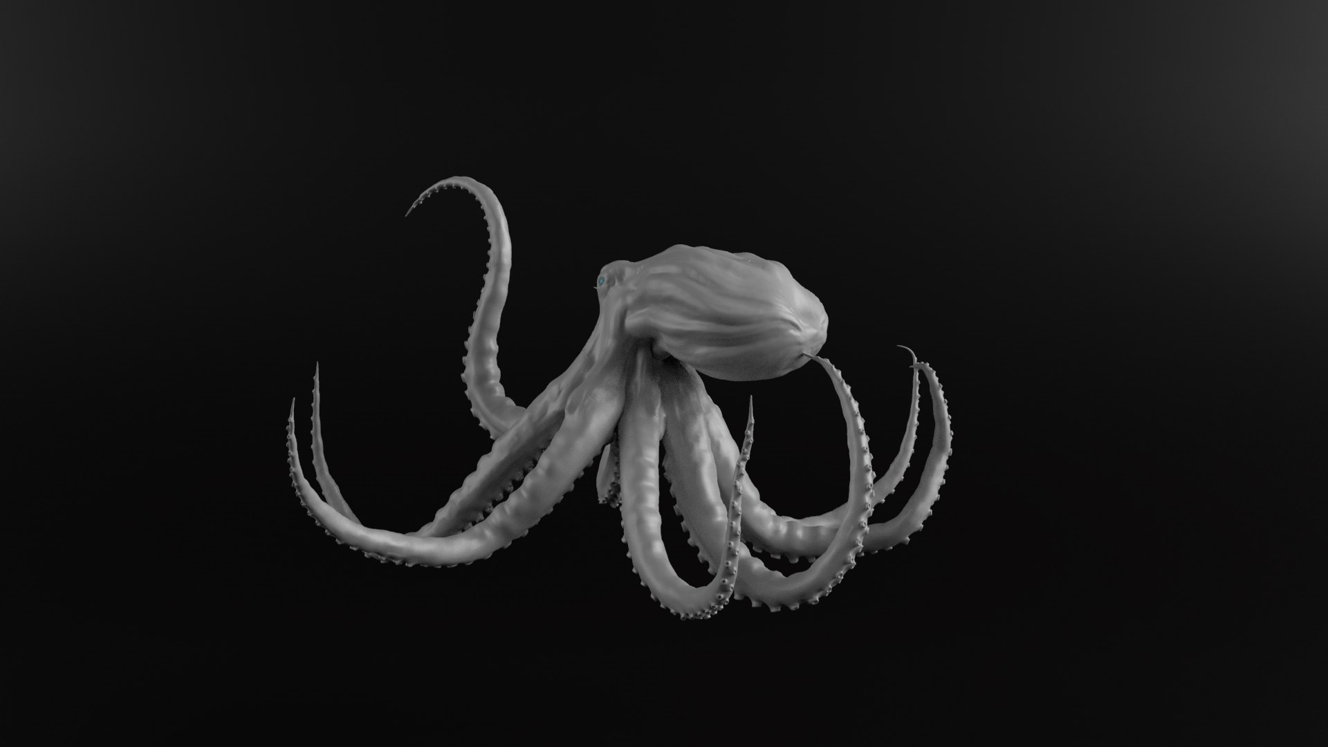 Octopus model - TurboSquid 1887969