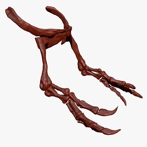 Spinosaurus Arm Skeletons Set 3D model
