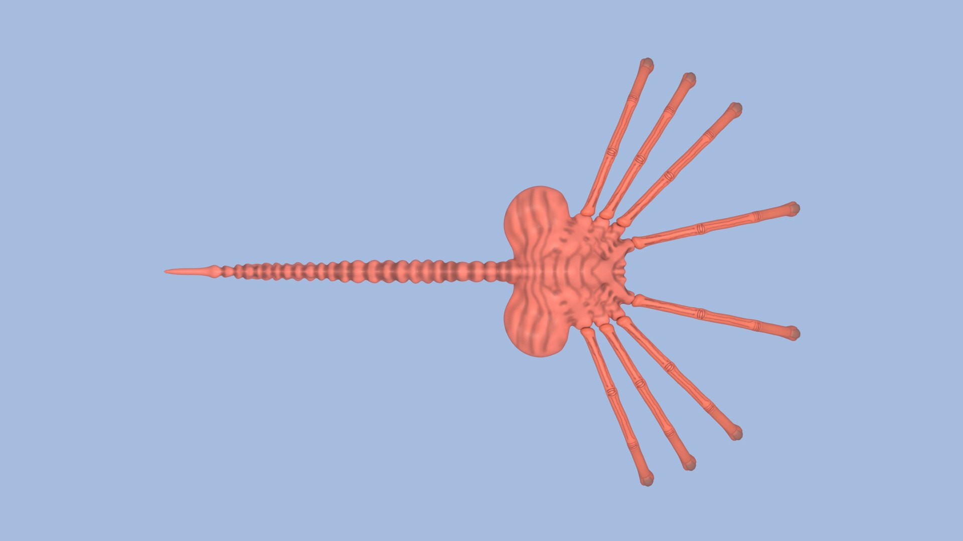 Alien Face Hugger 3D model https://p.turbosquid.com/ts-thumb/gS/mJ6Wtl/1z/facehugger_top/jpg/1716692446/1920x1080/fit_q87/fdd518862dd24ef724c23820d05fdc9f24f2f594/facehugger_top.jpg