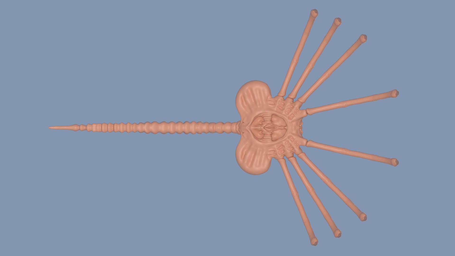 Alien Face Hugger 3D model https://p.turbosquid.com/ts-thumb/gS/mJ6Wtl/X6/claybottom/jpg/1716915084/1920x1080/fit_q87/887742c5714039b3d74aacf763cfe3867badf406/claybottom.jpg