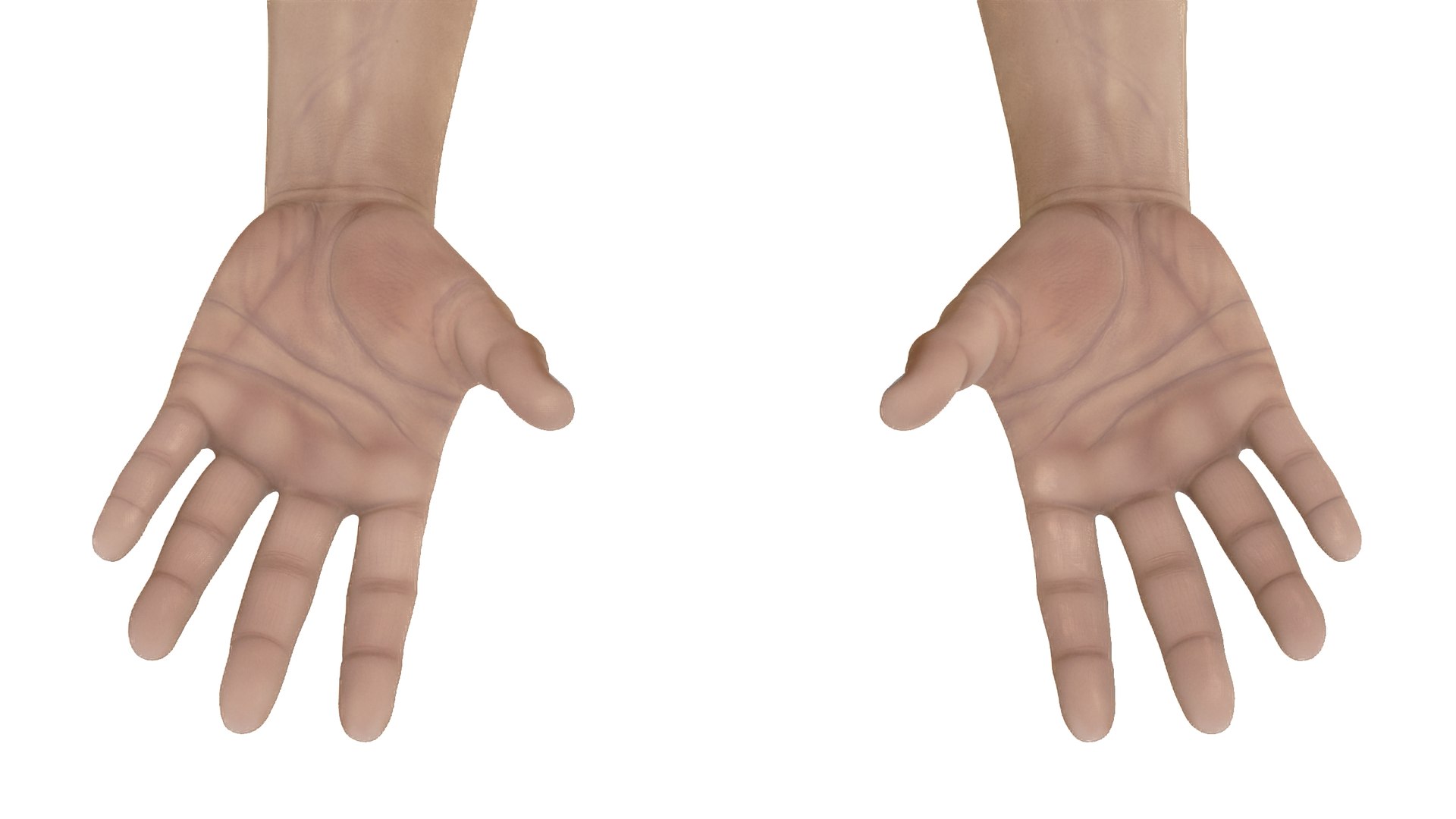Man Hands Rigged For Maya 3D Model - TurboSquid 2199783