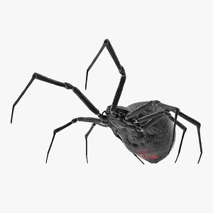 Widow Spider Fighting Pose with Fur 3D Model