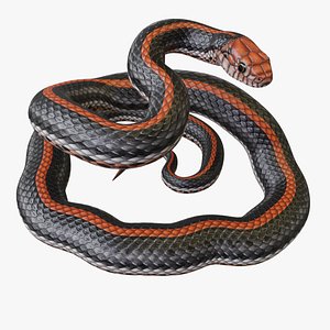 3D Black Orange Snake - Rigged