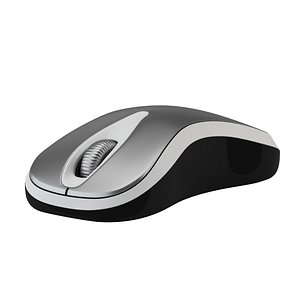 MOUSE 04