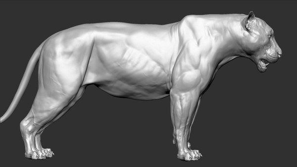 modelo 3d Jaguar Pantera Onca Vfx Ultra Cinematic Realistic Zbrush ...