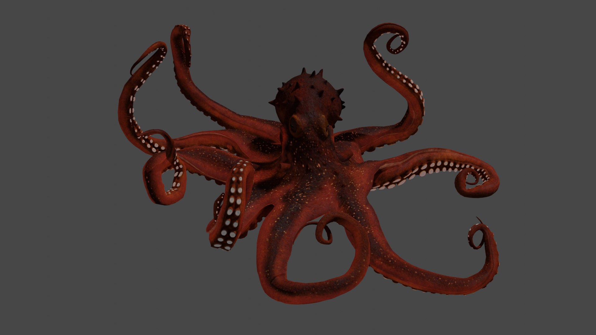 3D Model Octopus And Tentacle Of Octopus - TurboSquid 2118534