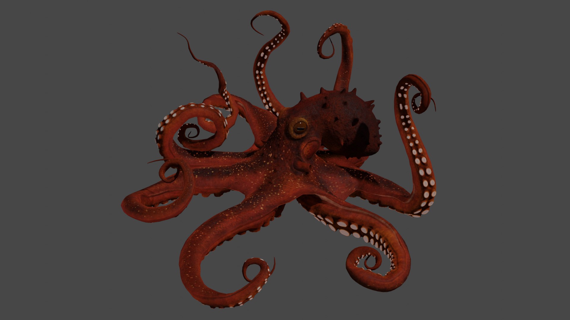 3D Model Octopus And Tentacle Of Octopus - TurboSquid 2118534