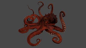 3D model Octopus and Tentacle of Octopus