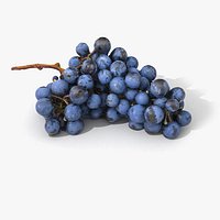 Grapes Lying Realistic 01