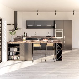 Full Parametric Kitchen Created in Revit 3D model 4