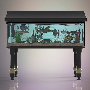 fish aquarium model