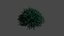 Collection de textures de modèles de cheveux