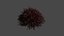 Collection de textures de modèles de cheveux