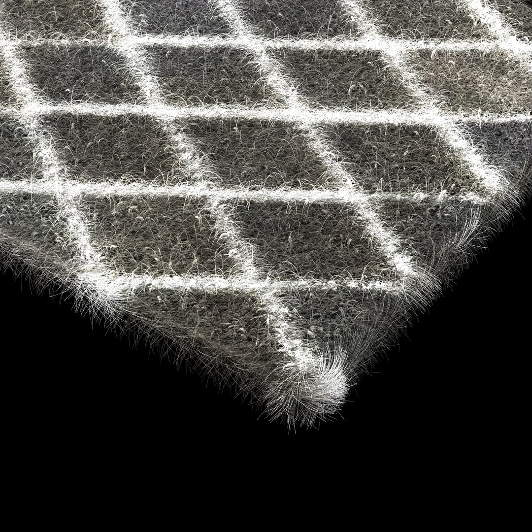 3D Model Soft Fluffy Carpet - TurboSquid 1590569