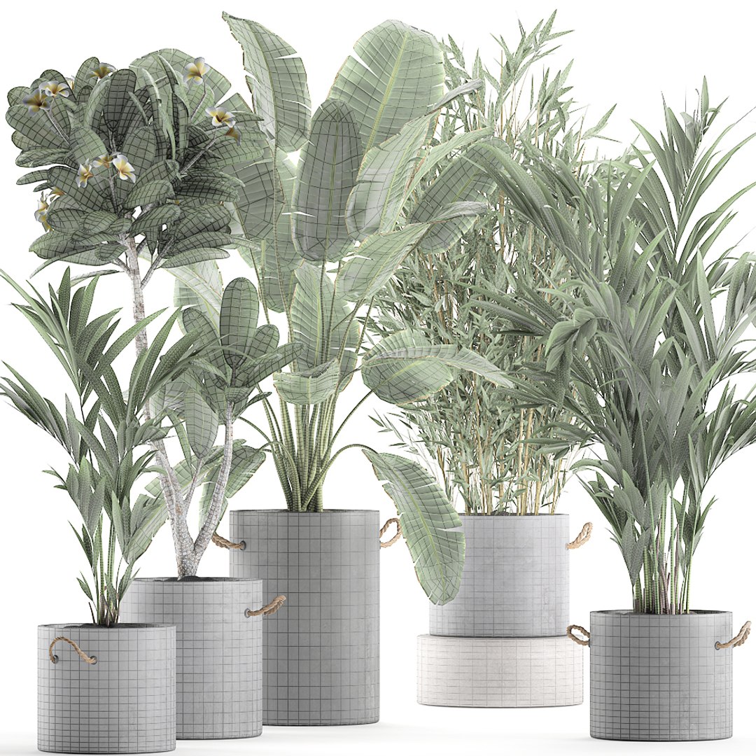 3D plants interior pots concrete model - TurboSquid 1580175