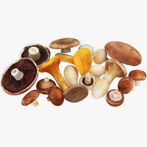 Mushrooms 3D model