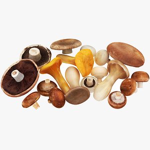 Mushrooms