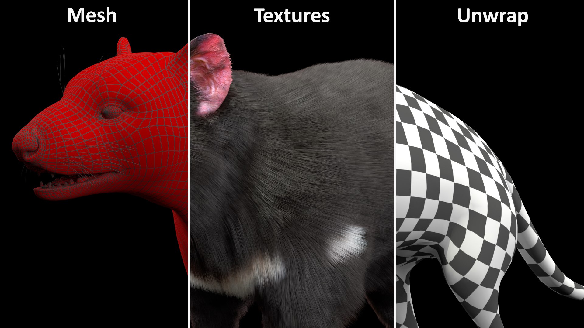 3D Model Tasmanian Devil Fur - TurboSquid 2127113