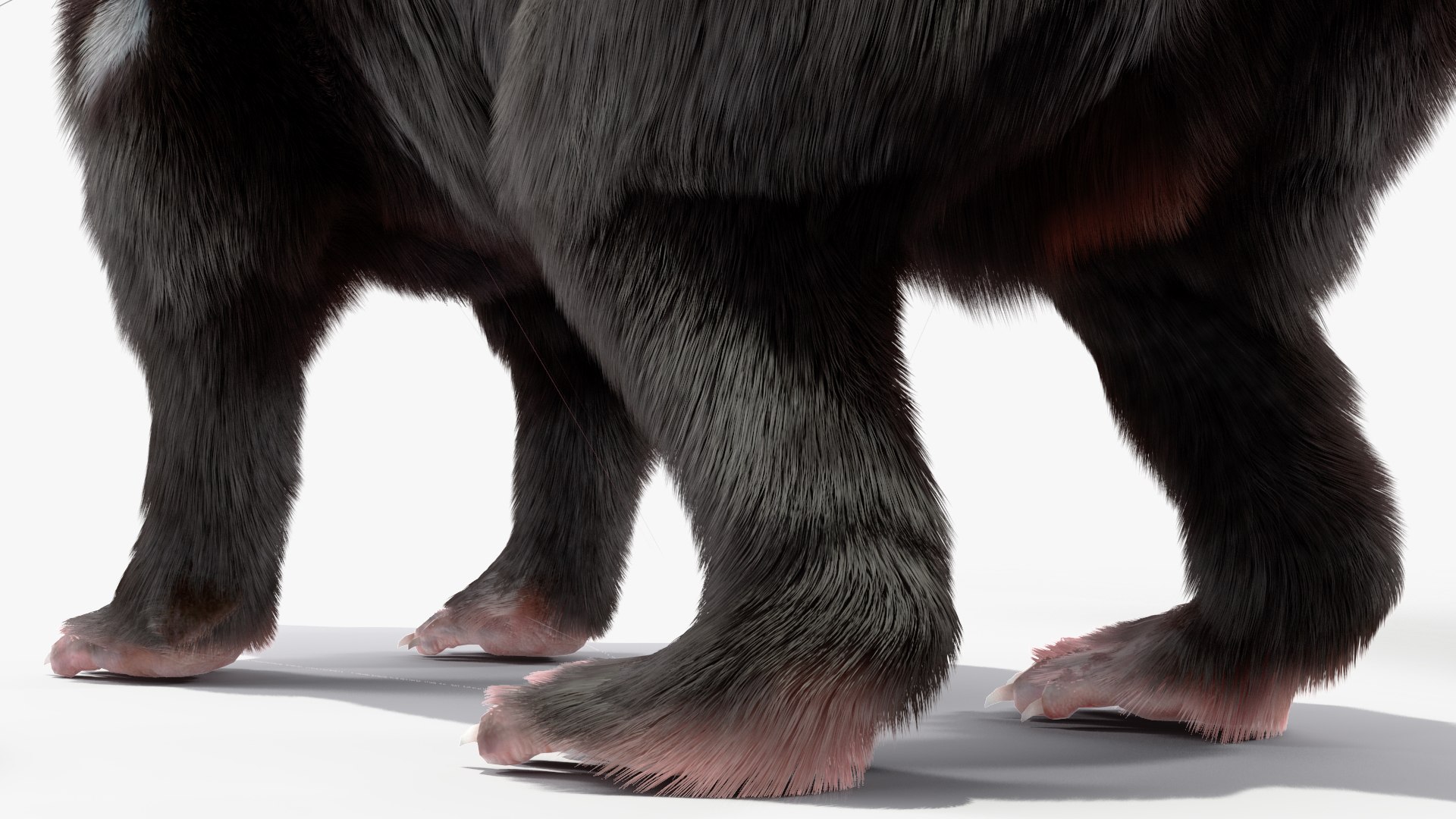 3D Model Tasmanian Devil Fur - TurboSquid 2127113